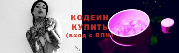 мдпв Вязьма