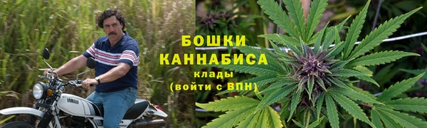 мдпв Вязьма