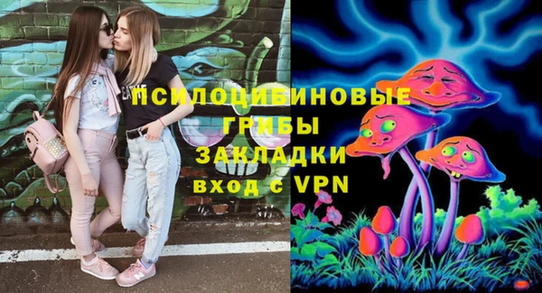 марки lsd Вяземский