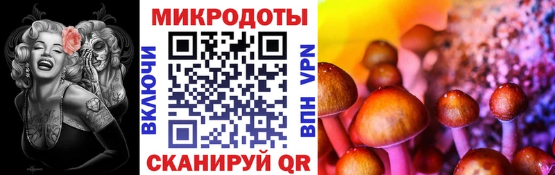 Галлюциногенные грибы Psilocybe  mega зеркало  Оленегорск 